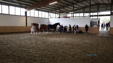 Bild 3 - Videos